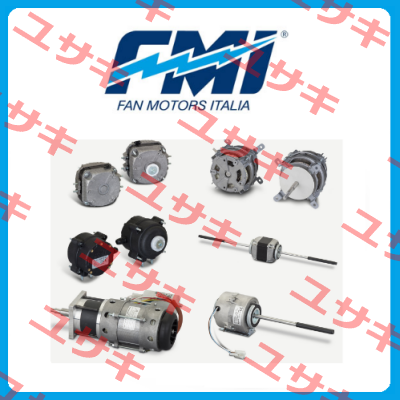 FMI (Fan Motors Italia)