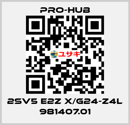 2SV5 E2Z X/G24-Z4L 981407.01 Pro-Hub