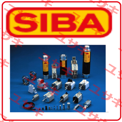 3010313.160 Siba