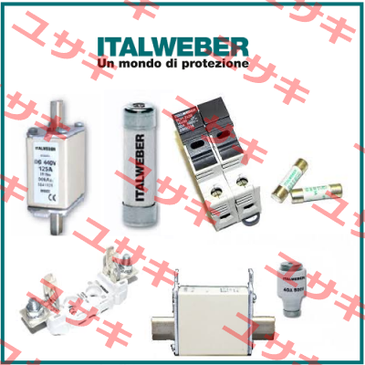 0102502 Italweber