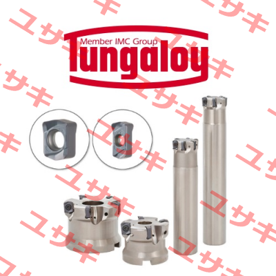 16ER AG60 19 0917 0300 Tungaloy