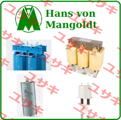 3UI114/62  Hans von Mangoldt