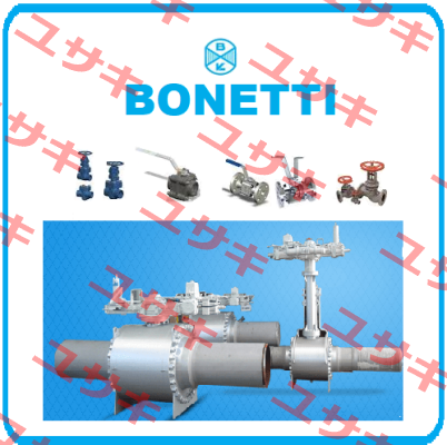 BULLETIN B 06-09  Cesare Bonetti