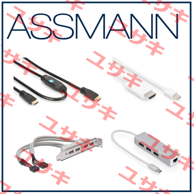 DN-80100  Assmann