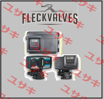 5600 sxt  Fleck Valves