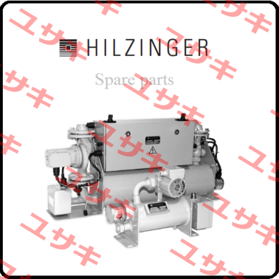 802714 Hilzinger