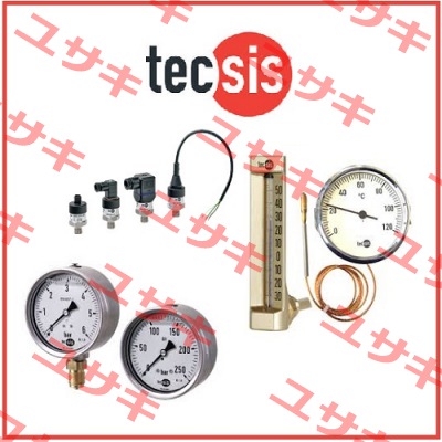 F32103320416 Tecsis (WIKA Group)