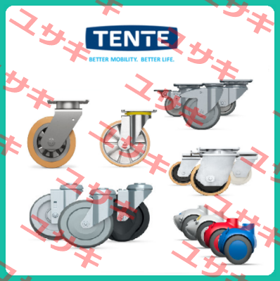 9958FTP150P65 (Teilenummer: 00806805-GS) Tente