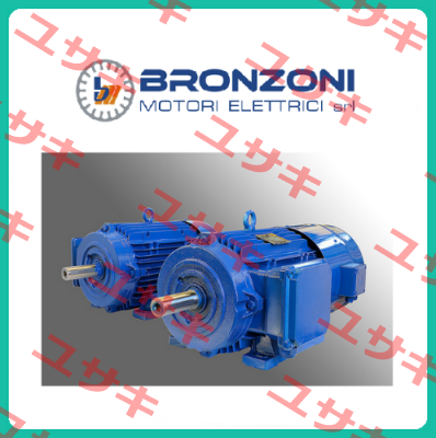 529168 oem  Bronzoni