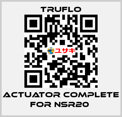 Actuator Complete For NSR20  TRUFLO