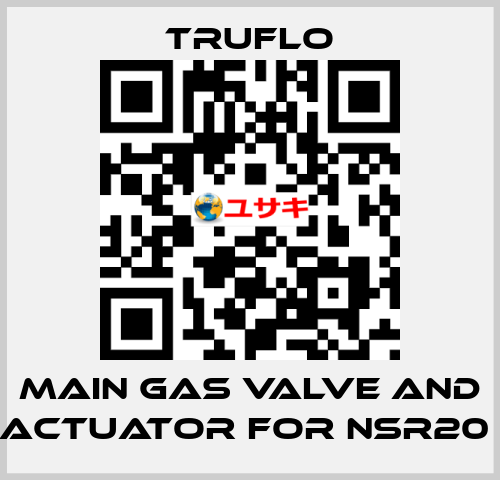 Main Gas Valve and Actuator For NSR20  TRUFLO