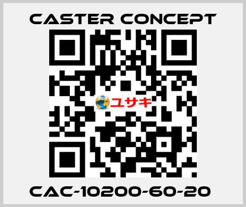 CAC-10200-60-20  CASTER CONCEPT