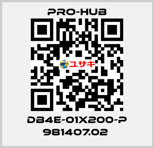 DB4E-01X200-P 981407.02  Pro-Hub