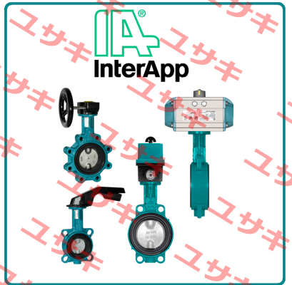 DESPONIA D1 DN0300 PN10 D10300.22-2AR.4A.5C0.E  InterApp