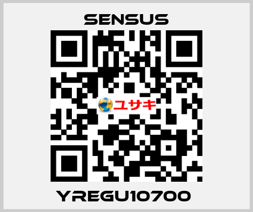 YREGU10700  Sensus