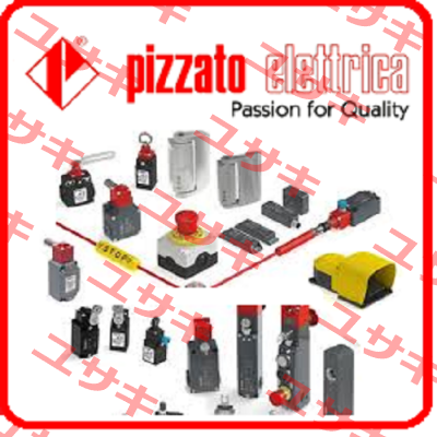 FR 601-4W3XAK21  Pizzato Elettrica