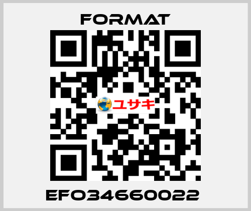 EFO34660022  Format