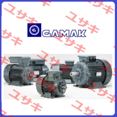 C.GM2E250M  Gamak