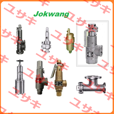 FF100-C-3/4"D1"-A11-212-CN2 12BARG  Jokwang