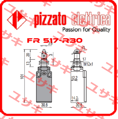 FR 517-R30 Pizzato Elettrica