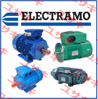 YE3-160M-4 – IE3 - 11kW - 1500 rpm  Electramo