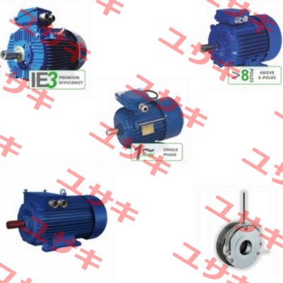 IP56 Execution IEC090  Cantoni