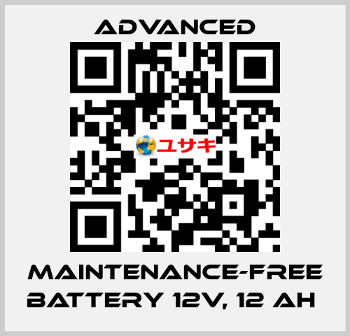 Maintenance-Free Battery 12V, 12 Ah  Advanced