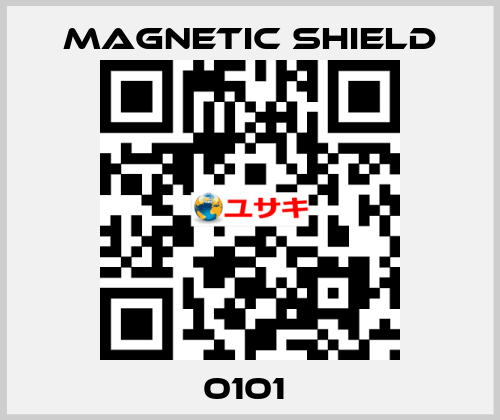 0101  Magnetic Shield