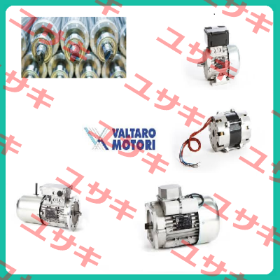 011403978   Valtaro Motori