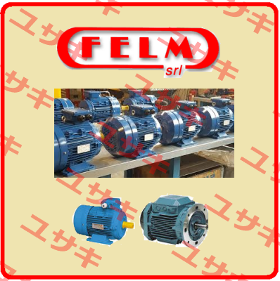 FA3-100LA-4XXX  Felm