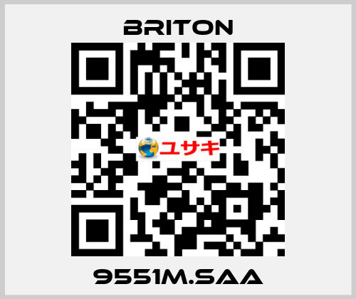 9551M.SAA BRITON