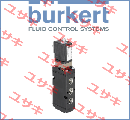 278228 Burkert