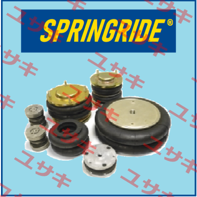 SP2917 Springride