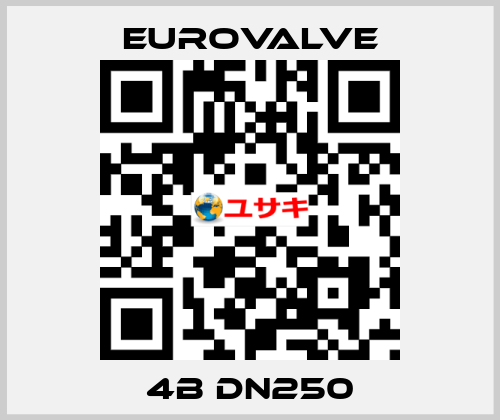 4B DN250 Eurovalve