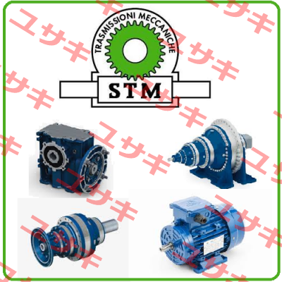 RMI 110 F1 1/ 56 100B14 Stm