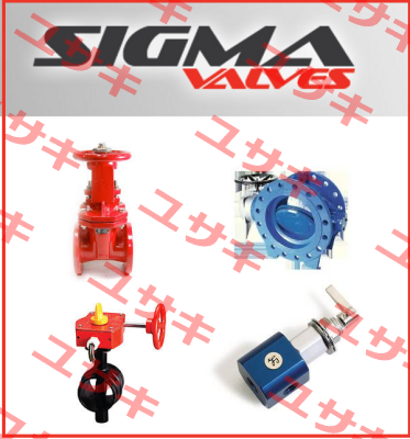 Repair Kit for 20HM104 Sigma Valves