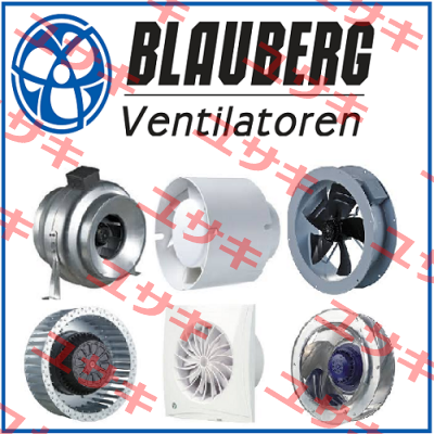 VSR 100 / 8036842 Blauberg