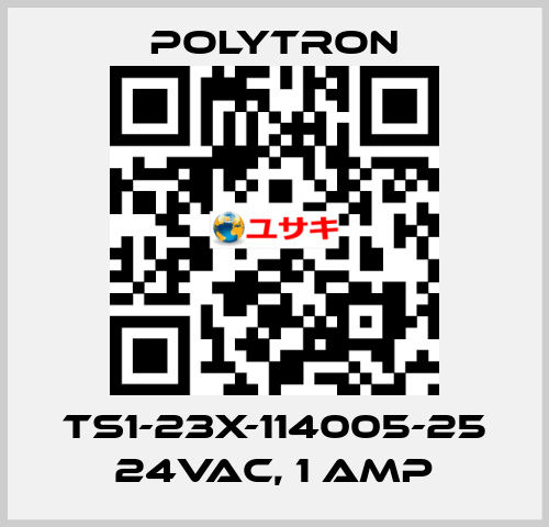 TS1-23X-114005-25 24VAC, 1 Amp Polytron