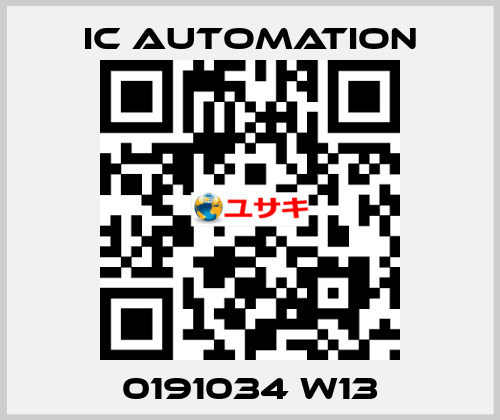 0191034 W13 ic automation