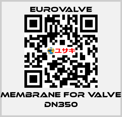 membrane for valve DN350 Eurovalve