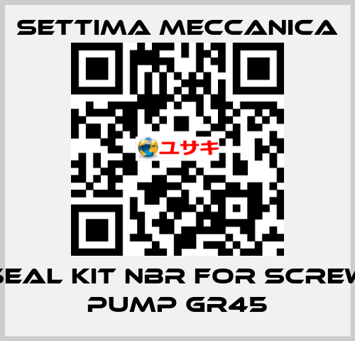 SEAL KIT NBR FOR SCREW PUMP GR45 Settima Meccanica