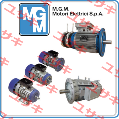 Magnet for motor 71 AC M.G.M MOTORI