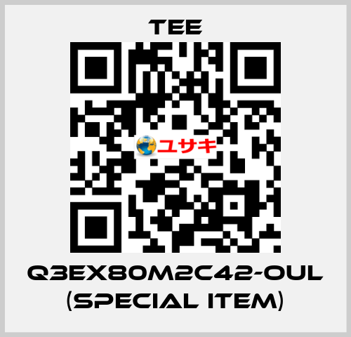 Q3EX80M2C42-OUL (special item) TEE