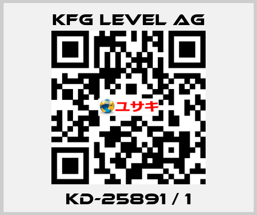 KD-25891 / 1 KFG Level AG