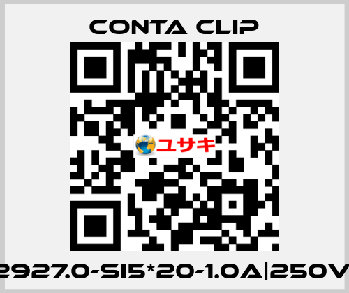 2927.0-SI5*20-1.0A|250V| Conta Clip