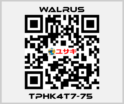 TPHK4T7-75  Walrus