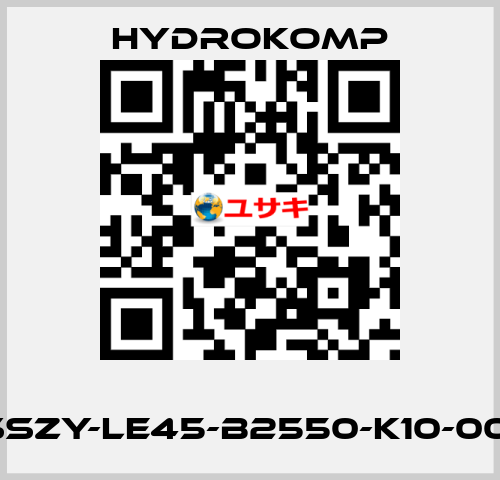       SSZY-LE45-B2550-K10-001 HYDROKOMP