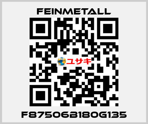 F87506B180G135 FEINMETALL