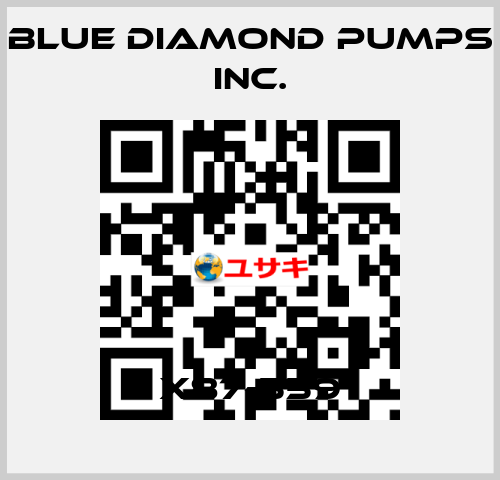 X87-559 Blue Diamond Pumps Inc.