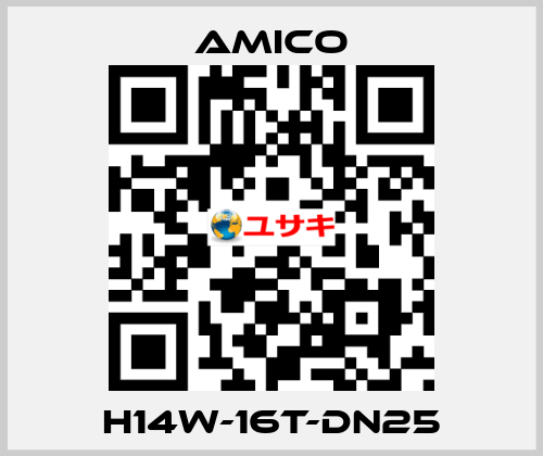 H14W-16T-DN25 AMICO